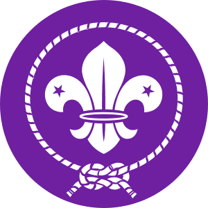 300px-World_Scout_Emblem_1955.svg
